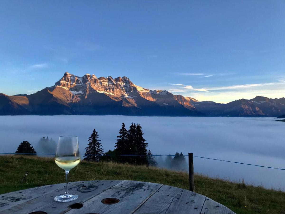 Chalet Chanso Morgins Bagian luar foto